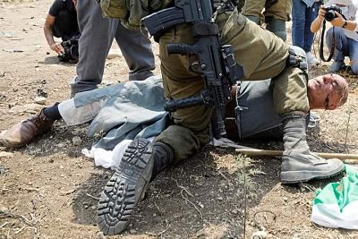 Vidéo et photos| Les forces israéliennes attaquent sauvagement les agriculteurs de Cisjordanie